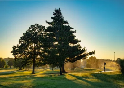 carthage golf course carthage mo golf course gallery 2
