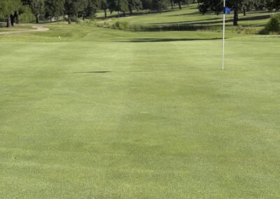hole 10 green